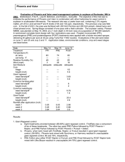 Evaluation of Phoenix and Valor weed management systems in