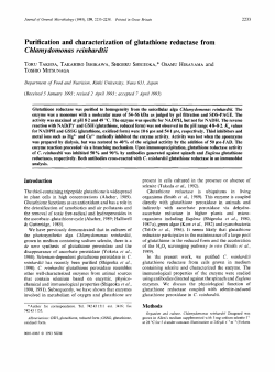 Chlamydomonas reinhardtii