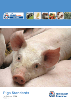 Pigs Standards - Red Tractor Assurance