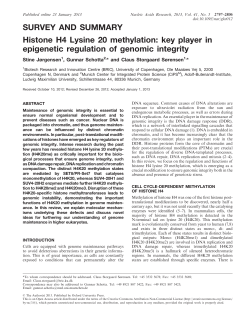 SURVEY AND SUMMARY Histone H4 Lysine 20 methylation: key