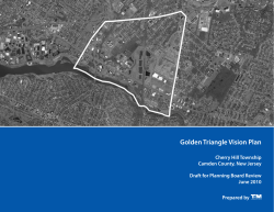 Golden Triangle Vision Plan