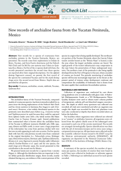 New records of anchialine fauna from the Yucatan Peninsula, Mexico