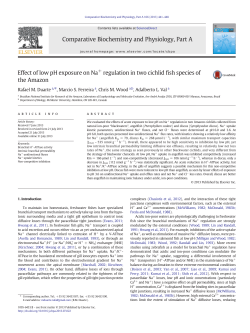Effect of low pH exposure on Na+ regulation in two