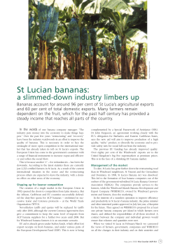 St Lucian bananas: