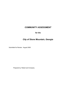 COMMUNITY ASSESSMENT City of Stone Mountain, Georgia