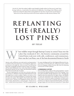 Lost Pines of Texas - The Forest History Society