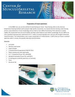 Preparation of Frozen specimens