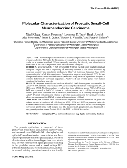 Molecular Characterization of Prostatic Small