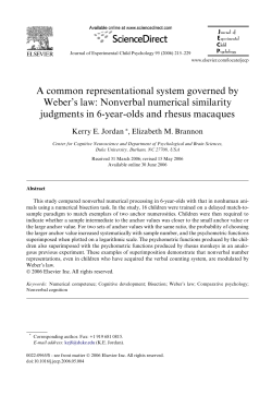 A common representational system governed by Weber`s law