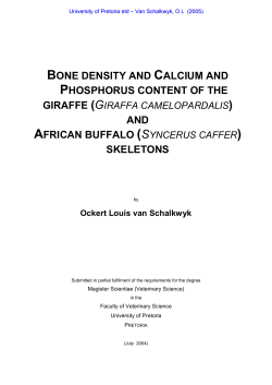 BONE DENSITY AND CALCIUM AND PHOSPHORUS CONTENT