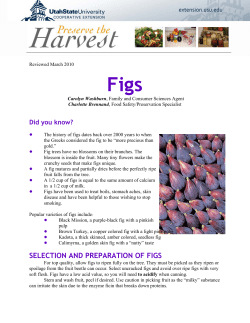 Figs - Utah State University Extension