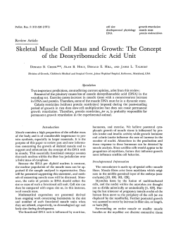 Skeletal Muscle Cell Mass and Growth: The Concept of the