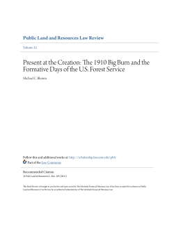 Present at the Creation: The 1910 Big Burn and the Formative Days