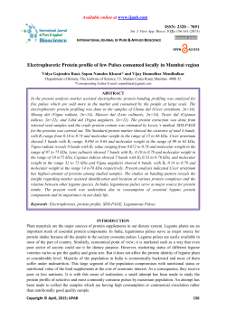 Electrophoretic Protein profile of few Pulses consumed