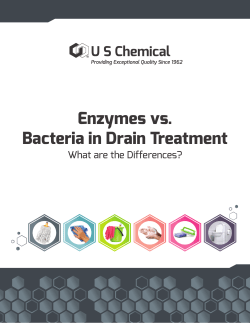 Enzymes vs. Bacteria in Drain Treatment