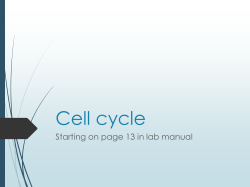 Cell cycle