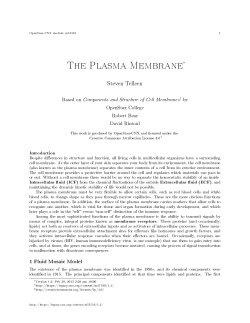 The Plasma Membrane