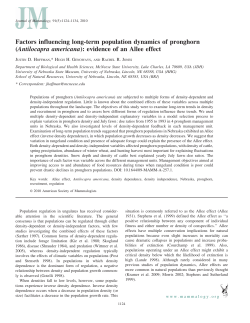 Factors influencing long-term population dynamics of pronghorn