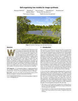 Self-organizing tree models for image synthesis