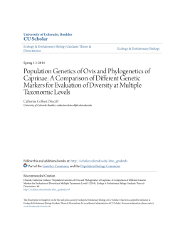 Population Genetics of Ovis and Phylogenetics of