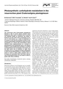 Photosynthetic carbohydrate metabolism in the