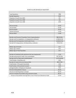north slope borough snapshot