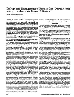 Ecology and Management of Kermes Oak