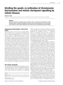 Dividing the goods: co-ordination of chromosome biorientation and