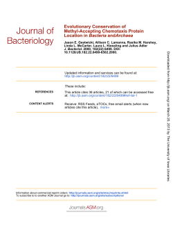 Archaea and Bacteria Location in Methyl