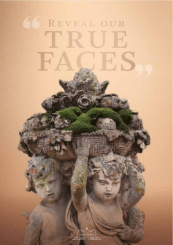 Reveal our - Ch&acirc;teau de Vaux-le