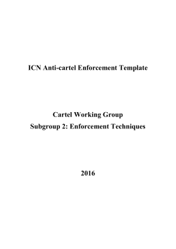 2016 ICN Anti-cartel Enforcement Template