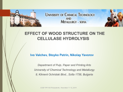 effect of wood structure on the cellulase hydrolysis