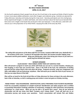 Flyer - Wild Food Adventures