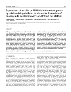 Expression of auxilin or AP180 inhibits endocytosis
