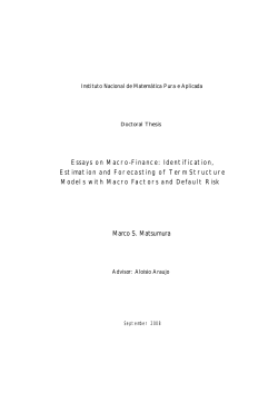 Essays on Macro-Finance: Identification, Estimation and