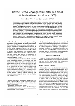 Bovine retinal angiogenesis factor is a small molecule (molecular
