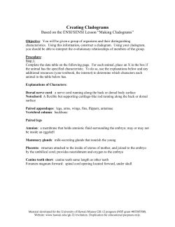 Creating Cladograms - University of Hawaii System