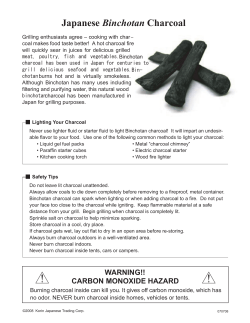 Japanese Binchotan Charcoal