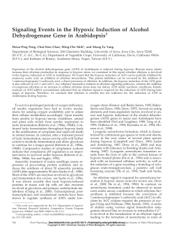 Signaling Events in the Hypoxic Induction of Alcohol