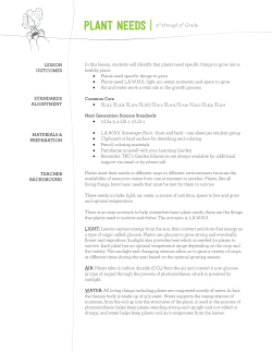 PLANT NEEDS - The Kitchen Community