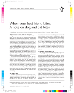 Davies Oct 12 238.vp:CorelVentura 7.0