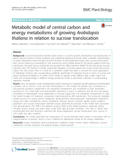 Metabolic model of central carbon and energy