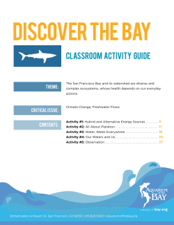 classroom activity guide