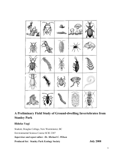 A Preliminary Field Study of Ground