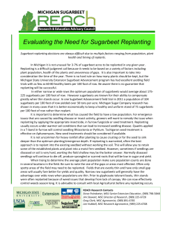 Evaluating the Need for Sugarbeet Replanting