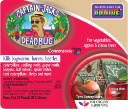 116112 Capt Jacks Pt front 4-252