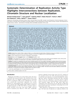 Systematic Determination of Replication Activity Type Highlights