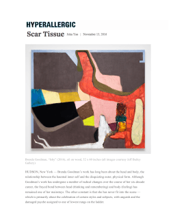 HUDSON, New York &mdash; Brenda Goodman`s work has long been