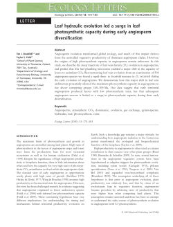 Leaf hydraulic evolution led a surge in leaf photosynthetic capacity
