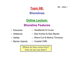 Topic 6B